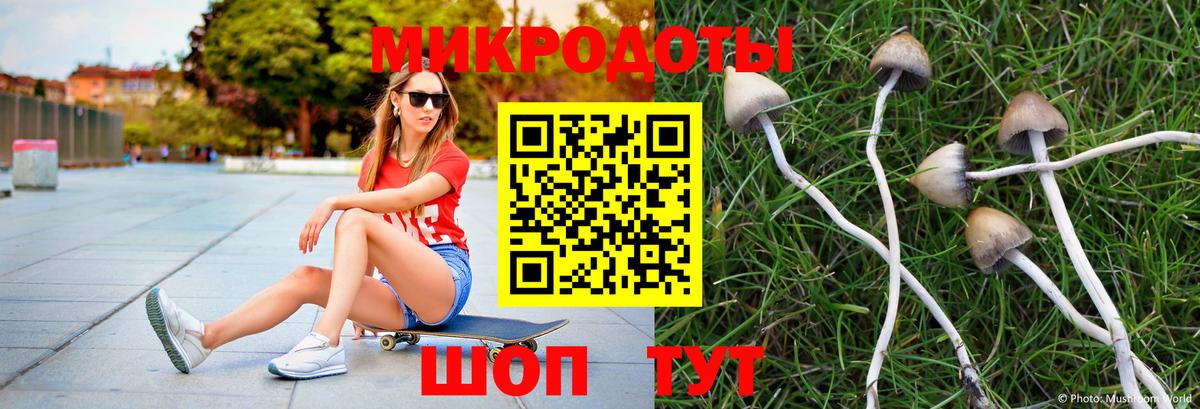 Псилоцибиновые грибы Psilocybe  Псилоцибиновые грибы мухоморы  Семилуки  Вход с VPN 