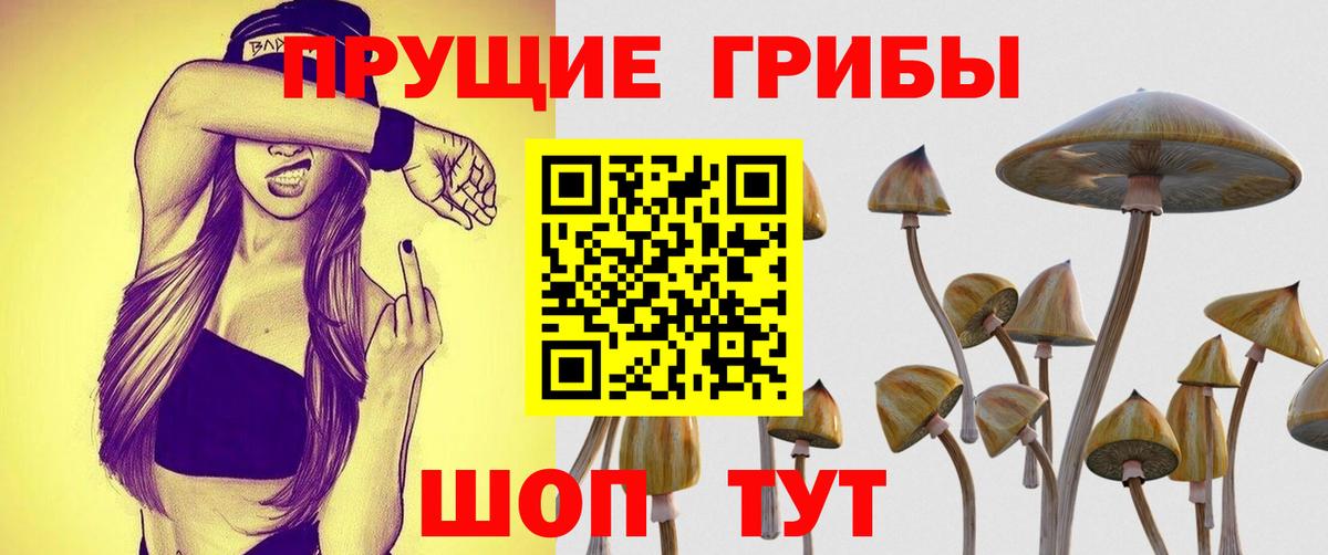 Псилоцибиновые грибы GOLDEN TEACHER Семилуки